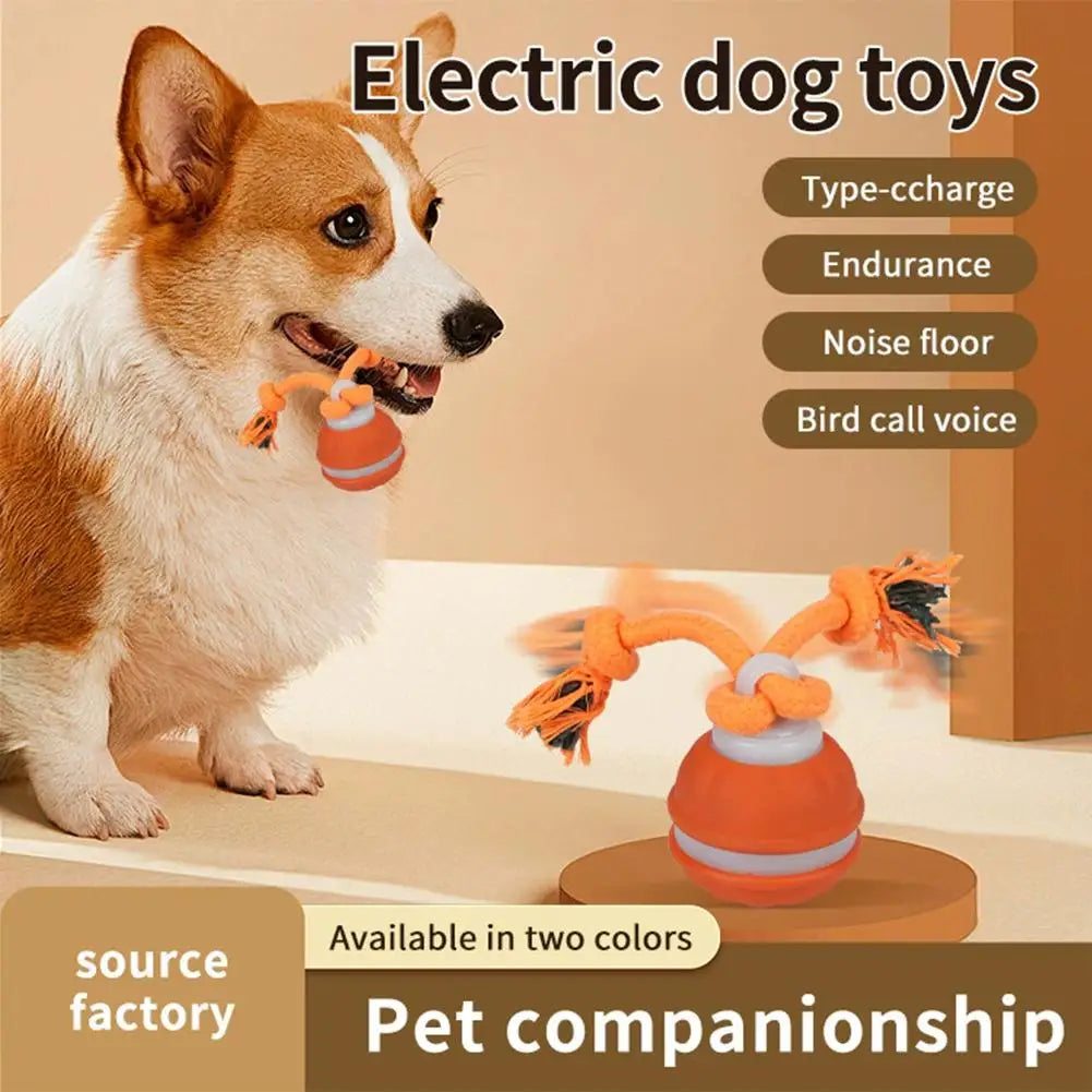 Pet Ball for Dogs Interactive Toys Motion Activate Rolling Ball for