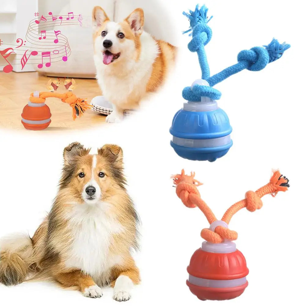 Pet Ball for Dogs Interactive Toys Motion Activate Rolling Ball for