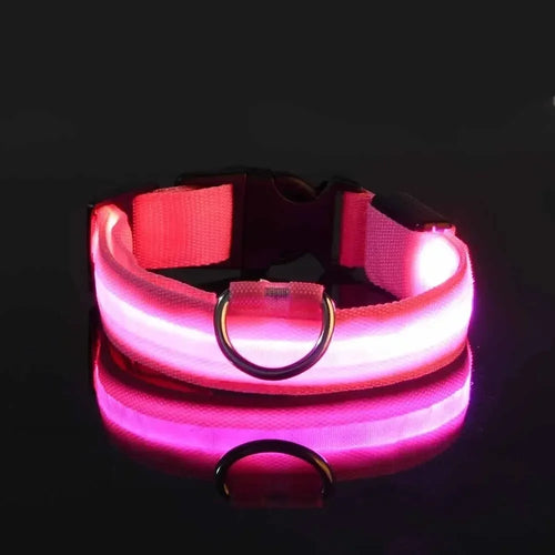 Light Up LED Pet Dog Collar Safety Night Walking Flashing Glow In The