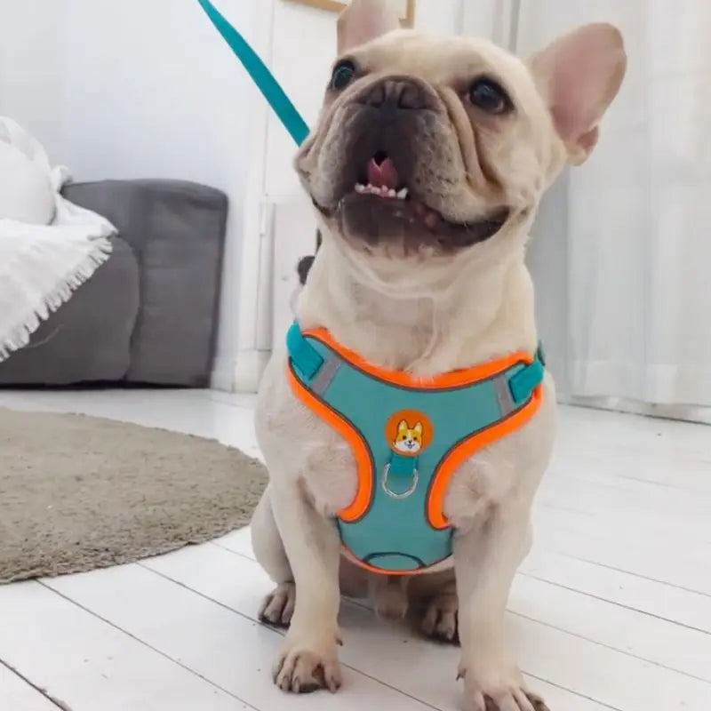 Adjustable No Pull Pet Reflective Dog Harness Lead Walking Running