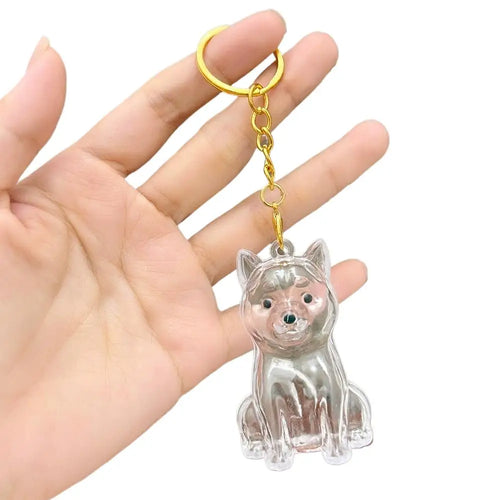 Transparent Cute Dog Hair Storage Keychain Pet Fur Keepsake Capsule