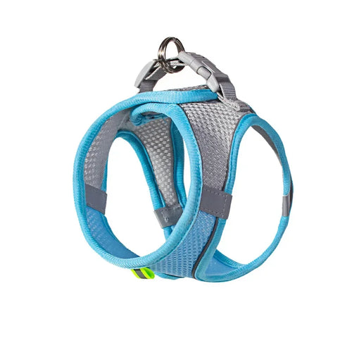 Puppy Harness Set Dog Accessories Adjustable Pet Vest Dogs French