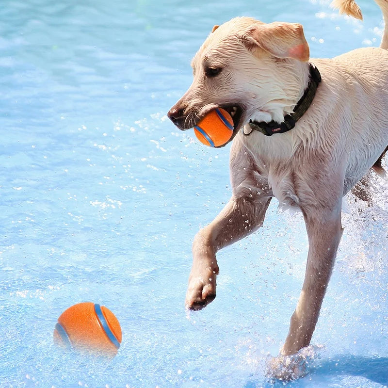 Tough Dog Toy Ball Chew Proof Elastic Jumping Fetch Ball for Large