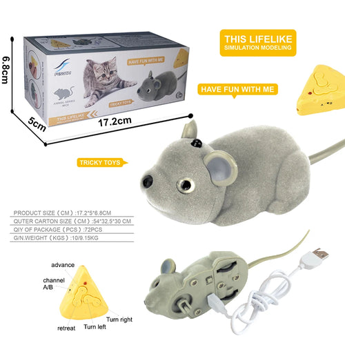 Trick Electric Cockroach Pet RC Simulation Spider Robotic Remote