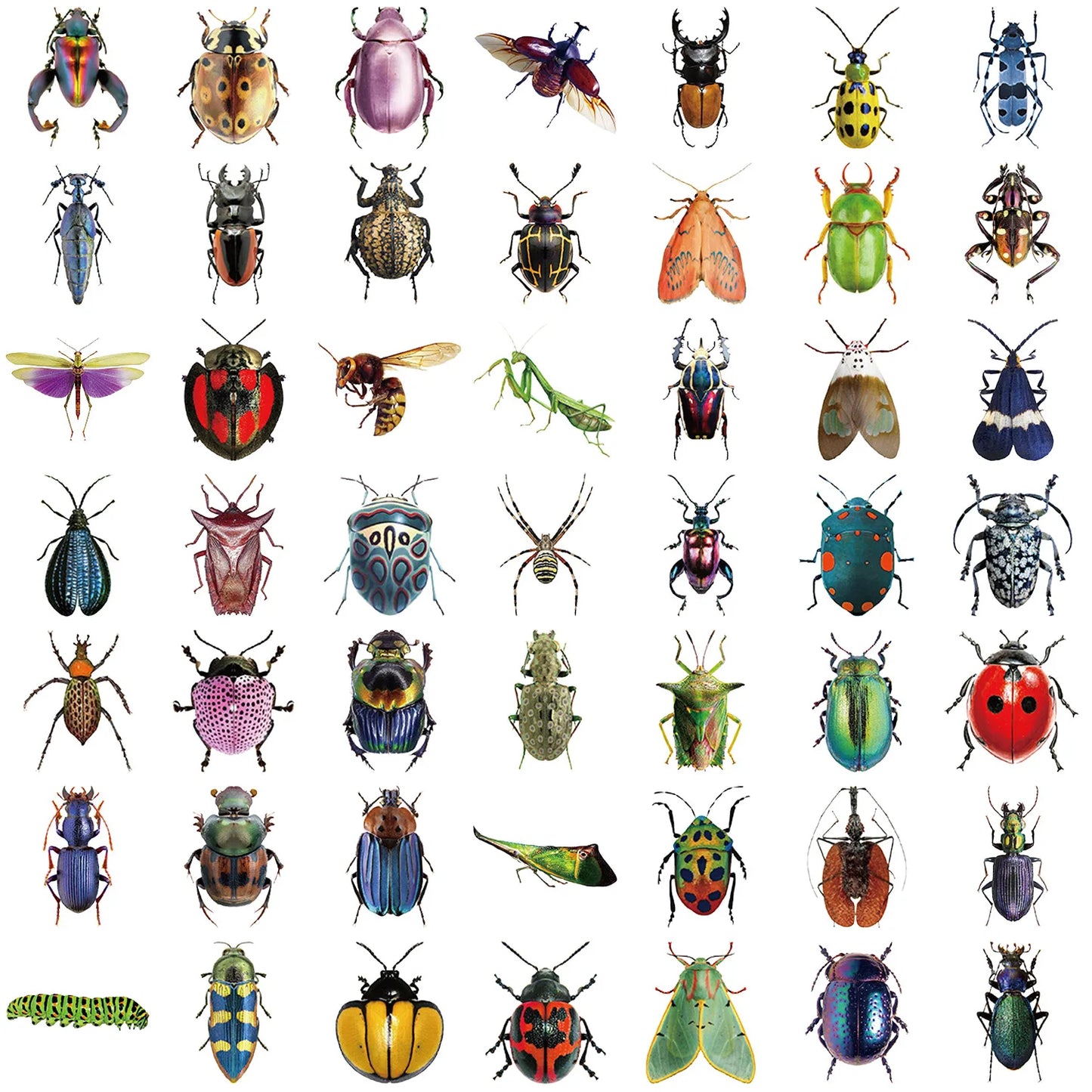 50pcs Cartoon Cute Cartoon Insect Beetle Stickers PET for Toy DIY