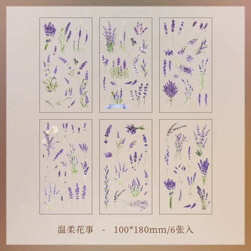 JIANQI 6pcs/pack Transparent PET Stickers Scrapbooking Materials DIY