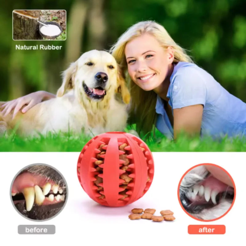 Interactive Dog Food Ball Rubber Chew Toy for Small to Large Dogs And