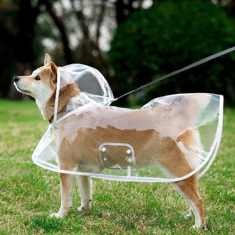 Pet Raincoat Transparent Dog Raincoat Waterproof and Windproof Pet