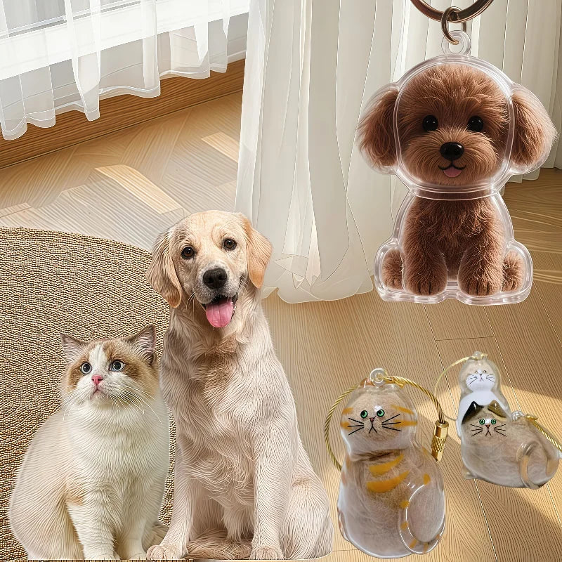  Transparent Dog Hair Storage Box Adorable Puppy Hair Memorial