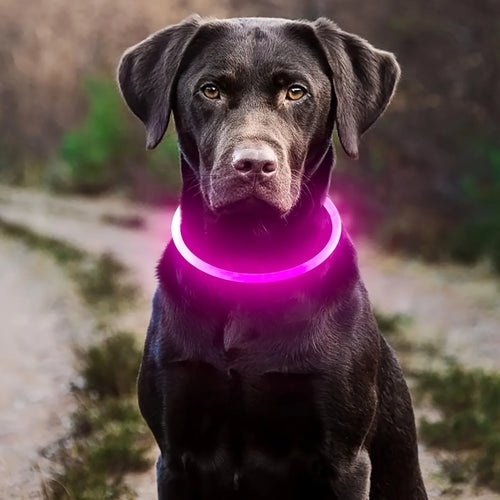 LED Light Dog Collar USB Charging Luminous Anti-Lost Necklace for
