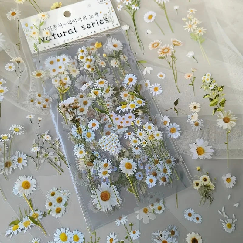 JIANQI 6pcs/pack Transparent PET Stickers Scrapbooking Materials DIY