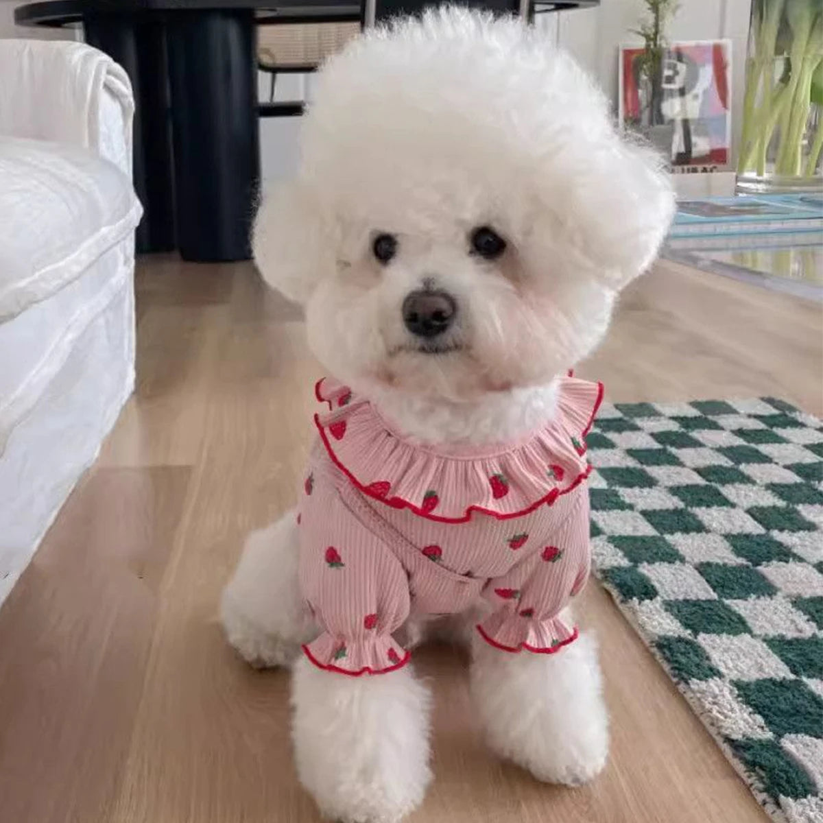 Strawberry Small Dog Clothes Summer Breathable Clothing for Cat Cute