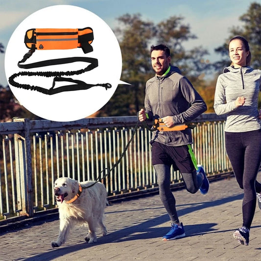 Hand Free Dog Running Leash With Zipper Pouch Running Leash