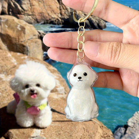  Transparent Dog Hair Storage Box Adorable Puppy Hair Memorial