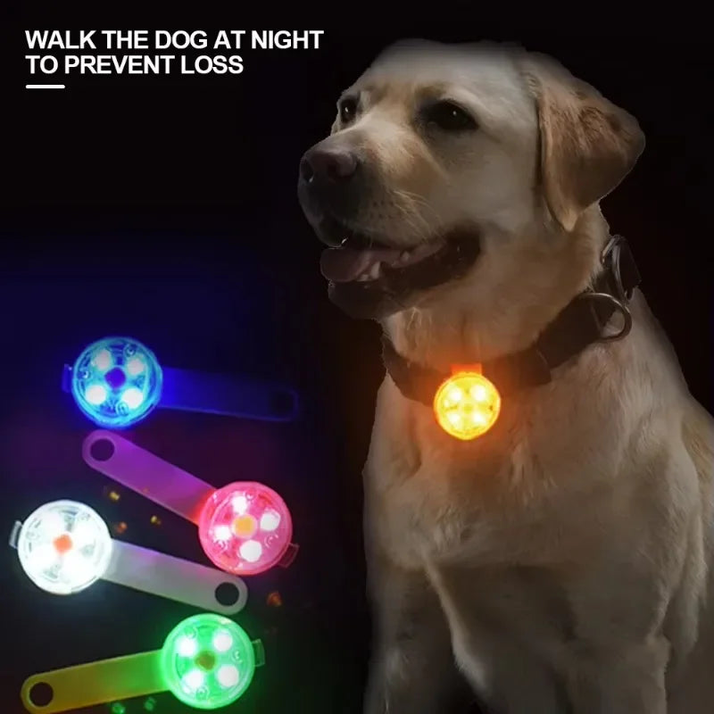 Dog collar, loss collar, weatherproof LED safety light, USB