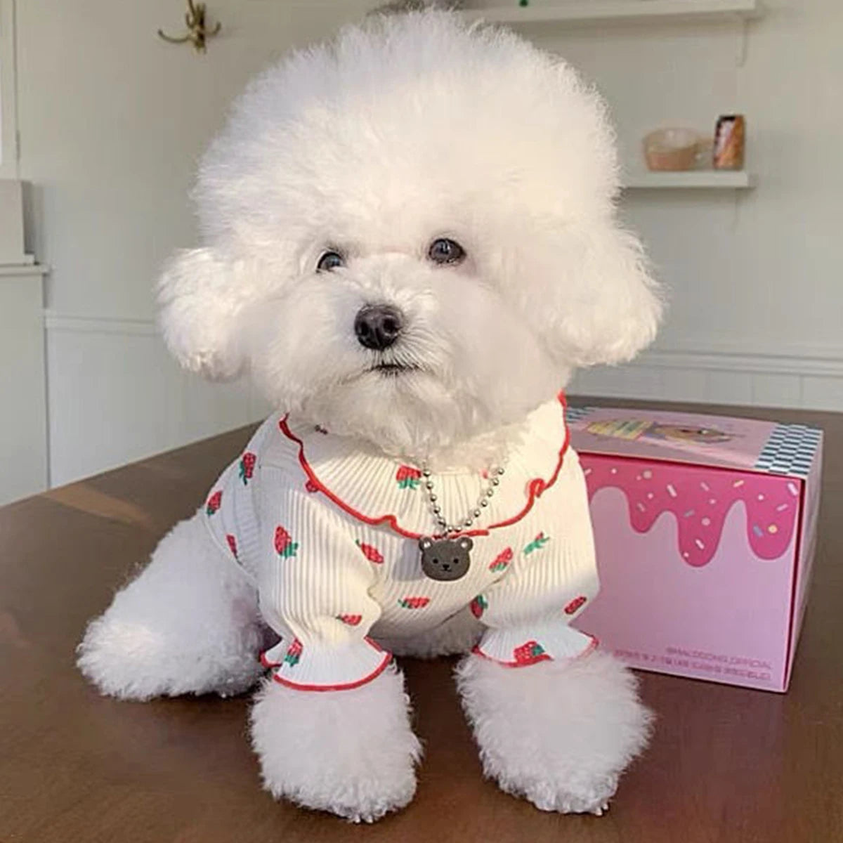 Strawberry Small Dog Clothes Summer Breathable Clothing for Cat Cute