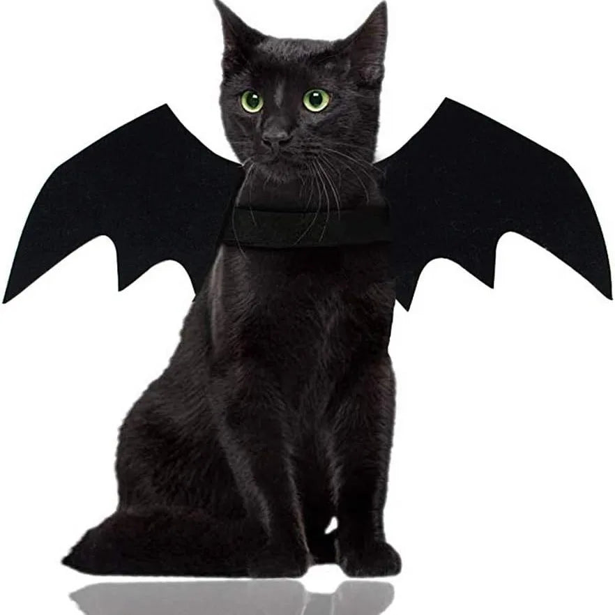 Wholesale Cute Cat Cosplay Costume Black Bat Wings Safety Belt Role