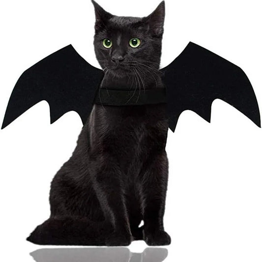 Wholesale Cute Cat Cosplay Costume Black Bat Wings Safety Belt Role