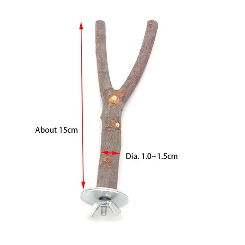 Natural Wood Pet Parrot Raw Wood Fork Tree Branch Stand Rack Squirrel