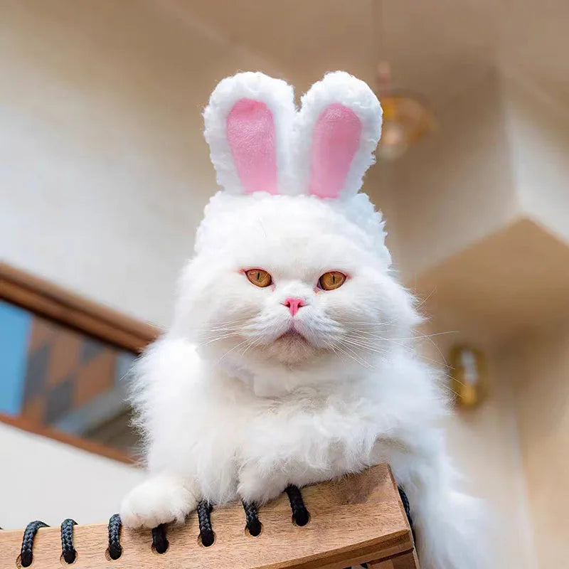 Cute Bear Rabbit Hooded Pet Cat Dog Accessories Cosplay Cat Hat Winter