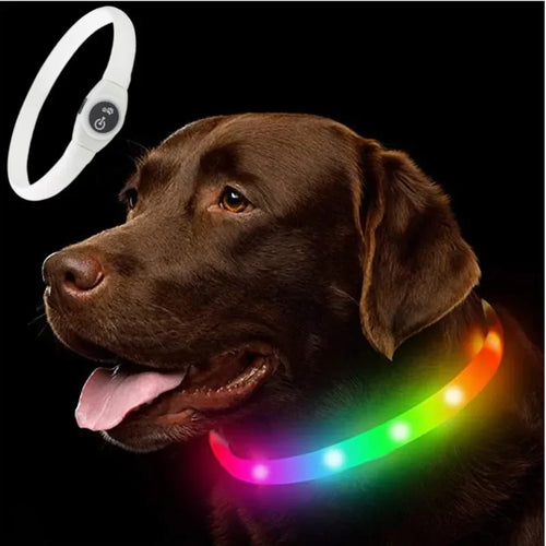 New Led Luminous Dog Collar PVC Waterproof , For Large Medium Small