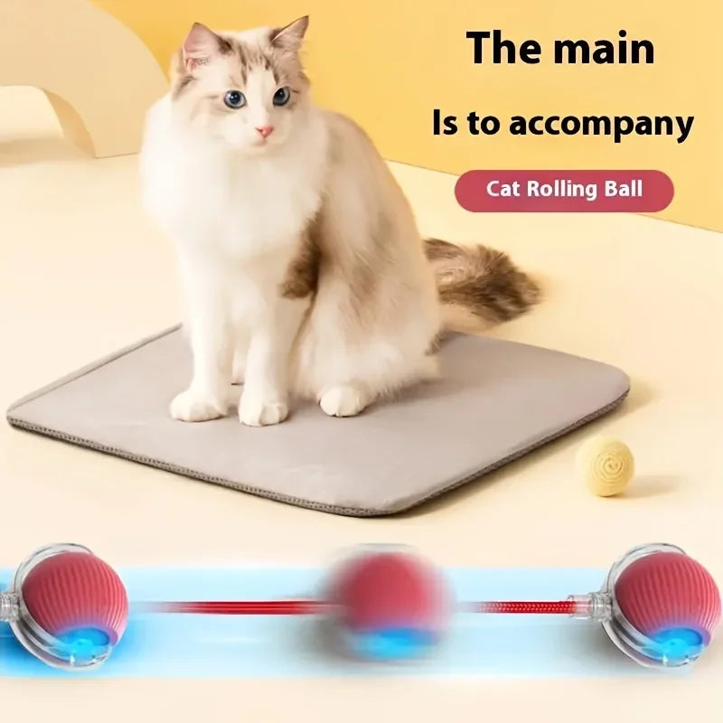 Cat Interactive Ball Toys Automatic Rolling Ball Faux Tail