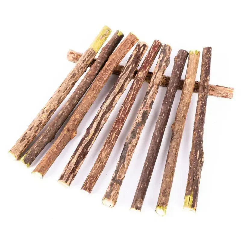 Silvervine Sticks for Cats - Natural Teeth Cleaning Chew Toys, Kitten