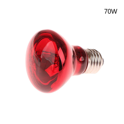 25/40/50/60/75/100W E27 UVA Poultry Bulb Infrared Night Light Day
