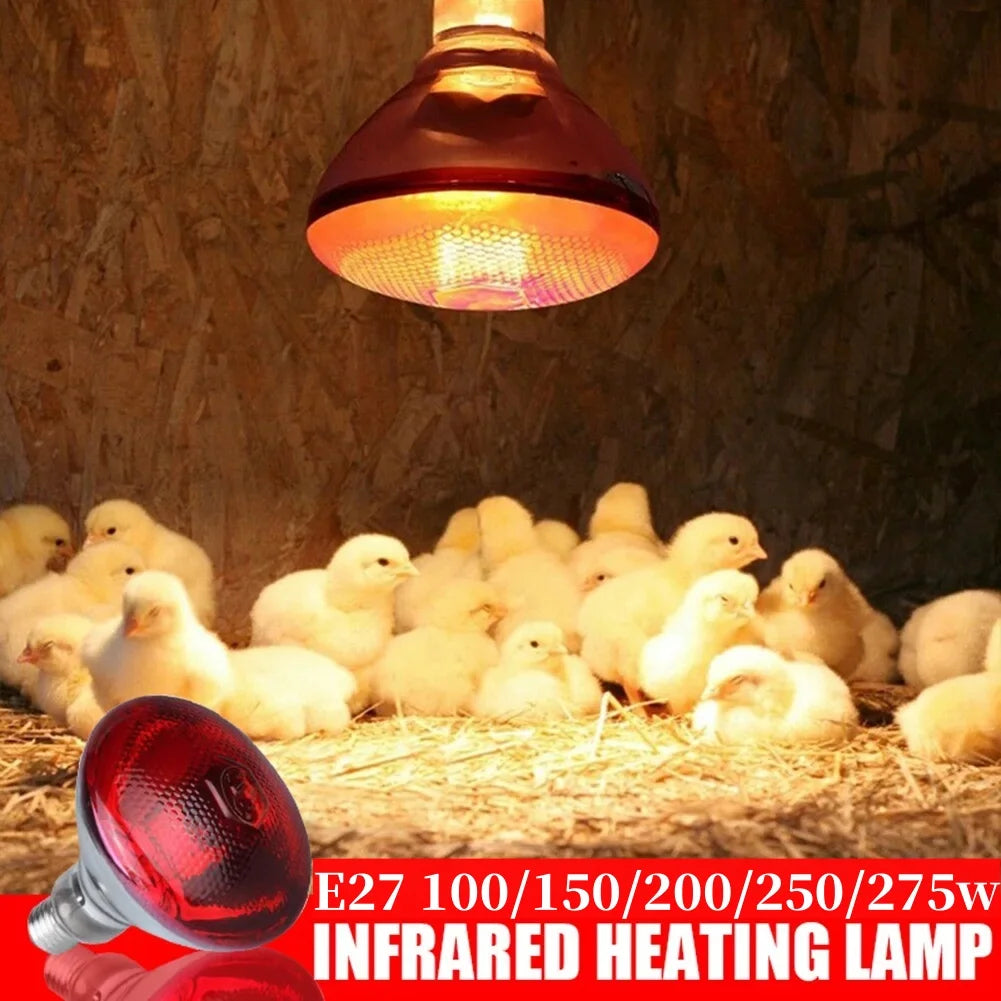 E27 Poultry Heating Lamp Breeding Bulb For Pigl High Quality