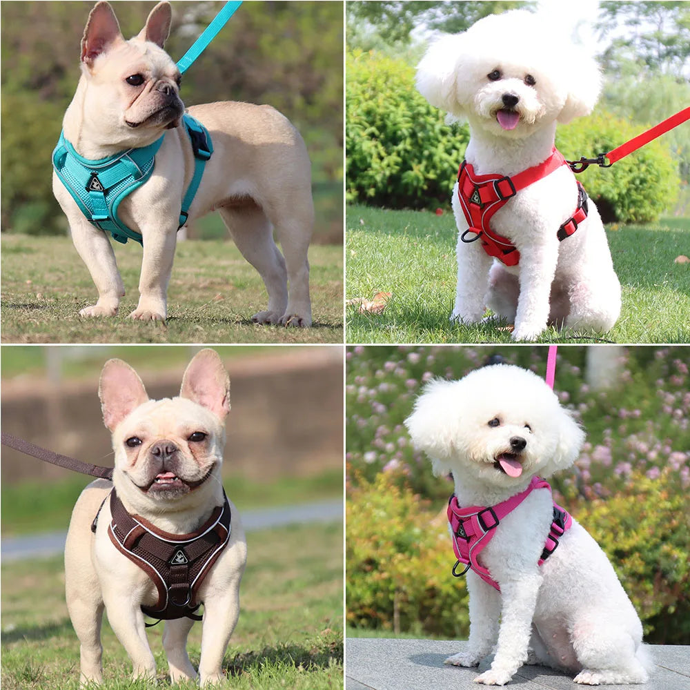 Harness and Leash Set Pet Accessories Dog Harness For Small Dog French
