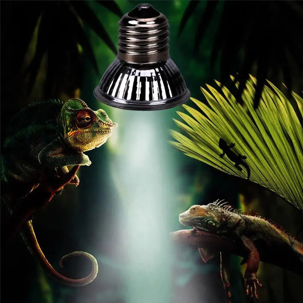 25/50/75W UVA+UVB Reptile Lamp Bulb Turtle Basking UV Light Bulbs