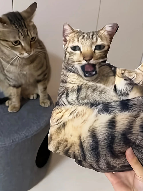 A customizable pet pillow, personalized 3D portrait plush toy for cats