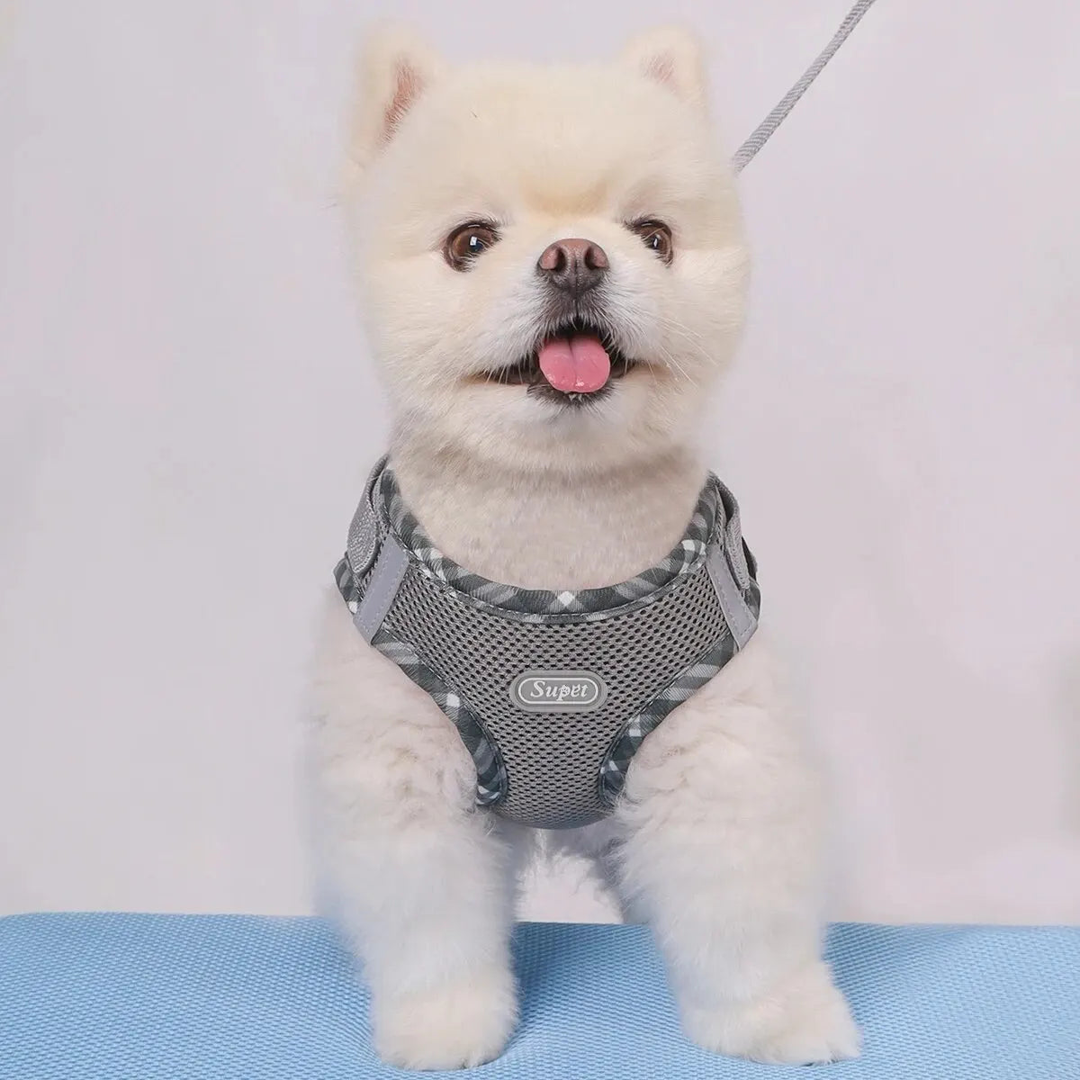 Supet 1pc Dog Harness, Anti-Pull, Pet Harness, Adjustable, Easy to