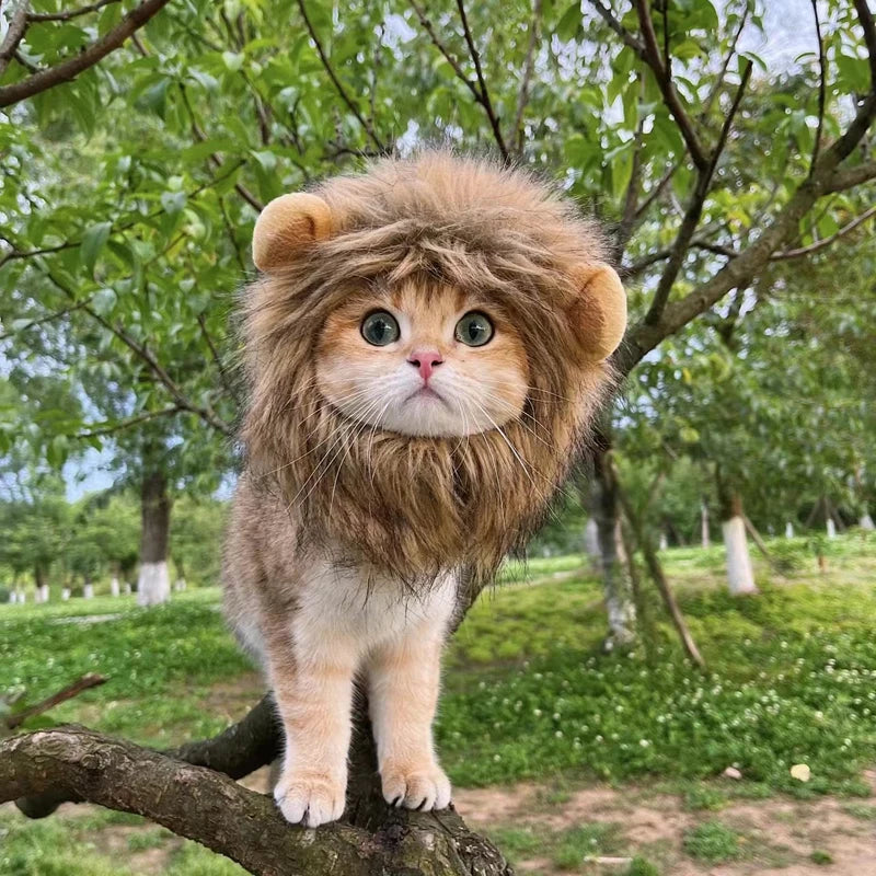 Funny Pets Clothes Cap Cute Cat Wig Lion Mane Costume Cosplay Kitten