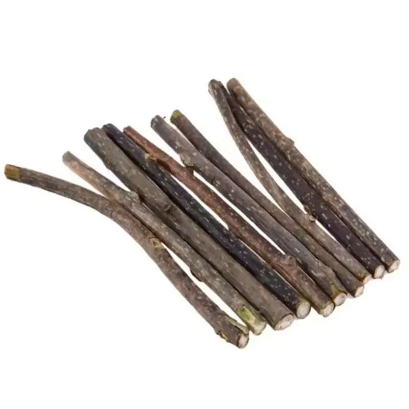 Silvervine Sticks for Cats - Natural Teeth Cleaning Chew Toys, Kitten