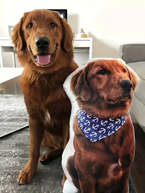 Customized modern pet pillow with double-sided digital printing,