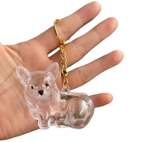Transparent Cute Dog Hair Storage Keychain Pet Fur Keepsake Capsule