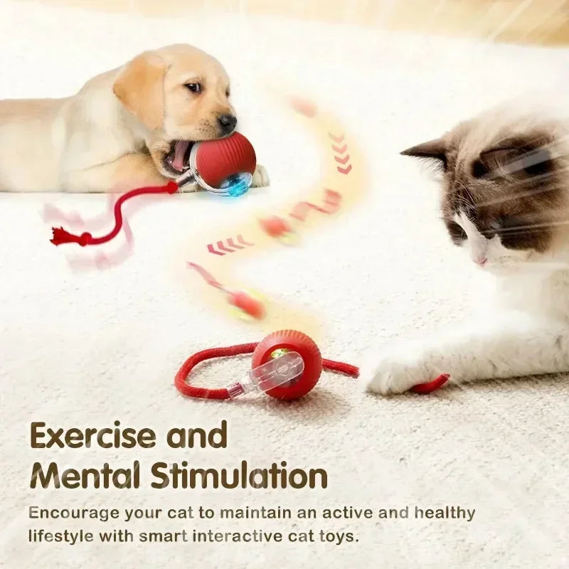 Cat Interactive Ball Toy, Automatic Rolling Ball with Tail,
