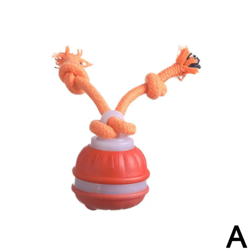Pet Ball for Dogs Interactive Toys Motion Activate Rolling Ball for