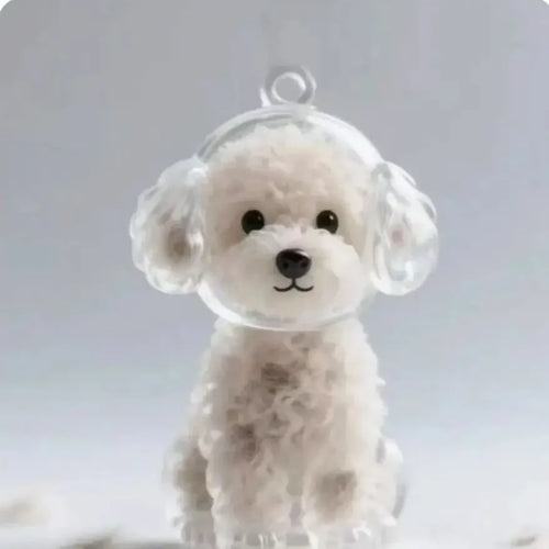  Transparent Dog Hair Storage Box Adorable Puppy Hair Memorial