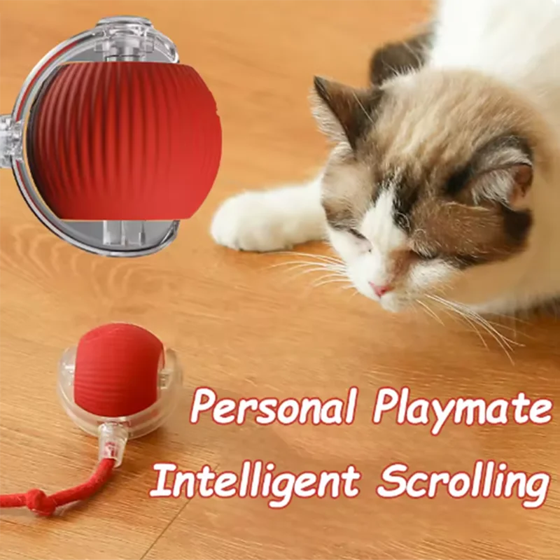 New cat toys are automatically teasing cat balls and self-exciting cat
