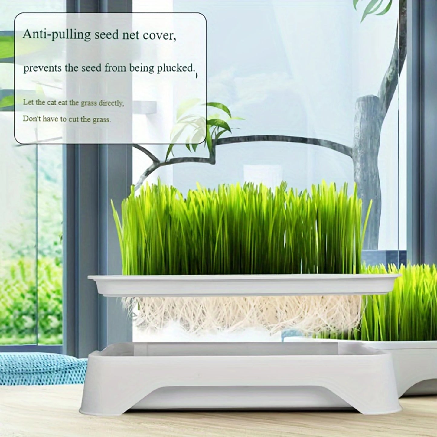 Pet Cat Grass Planting Basin Soilless Culture Wheat Seedling Pot
