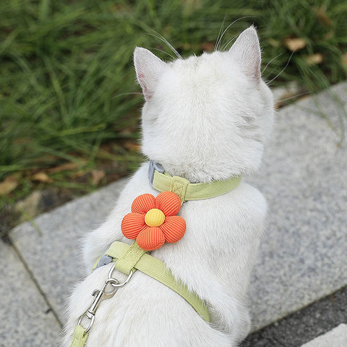 Cat Harness and Leash Sets Adjustable Dog Harness for Small Dog Leash