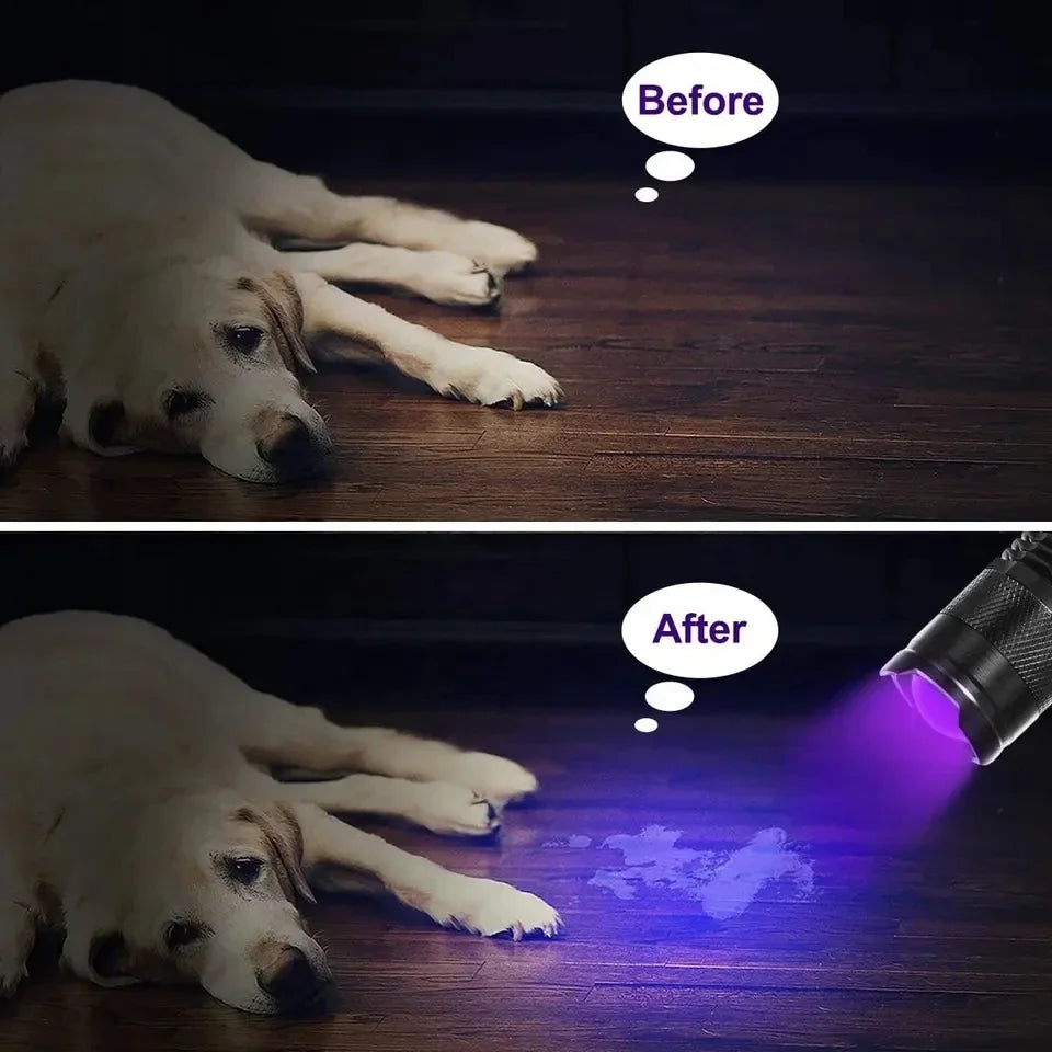 LED UV Flashlight 365/395nm Portable Mini Ultraviolet Torch Waterproof