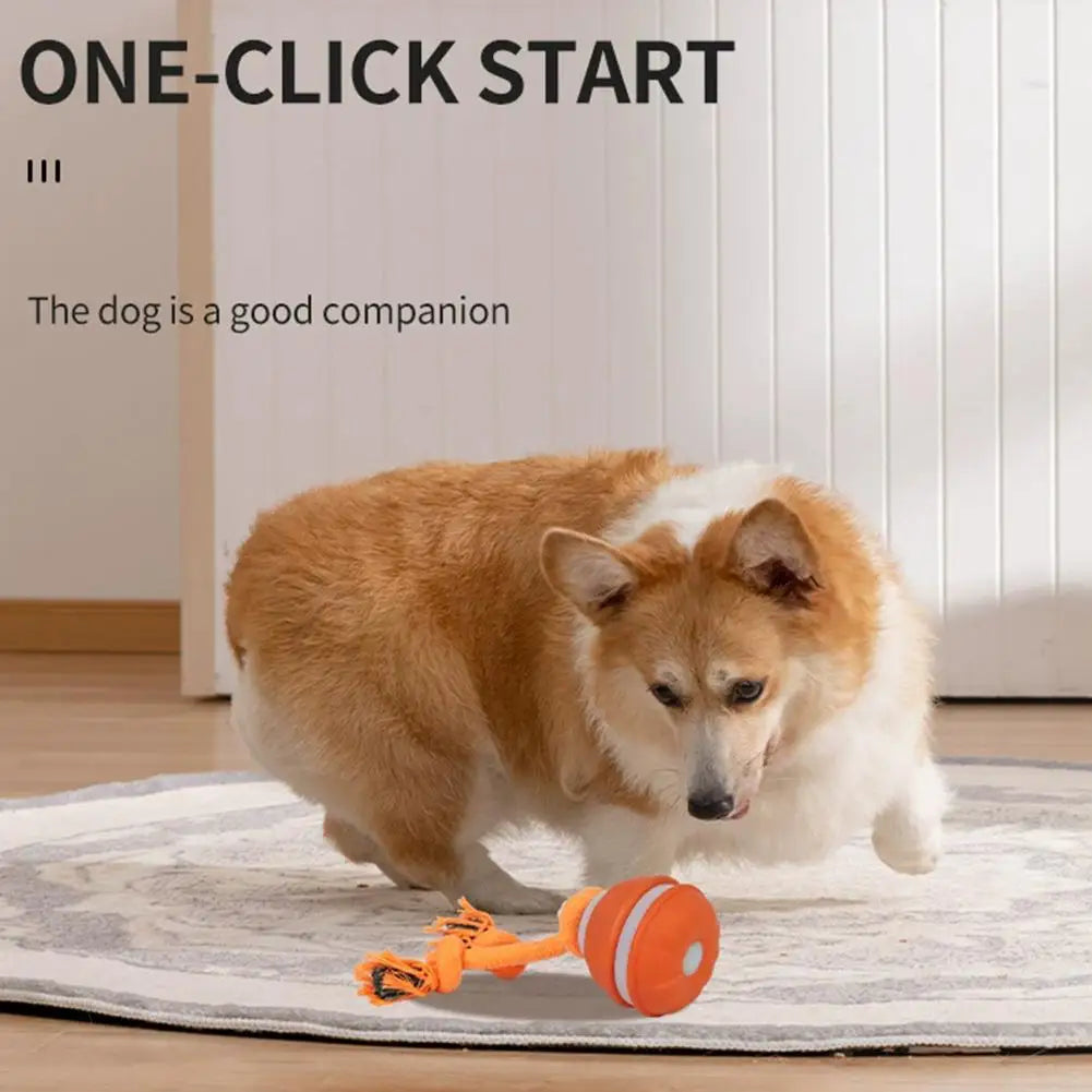 Pet Ball for Dogs Interactive Toys Motion Activate Rolling Ball for