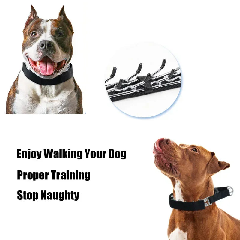 Dog Training Collar Prong Collar with Quick Release Buckle & Nylon