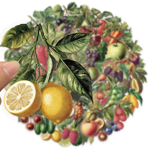 50PCS Retro Fruit Graffiti Stickers Decoration DIY Skateboard Luggage