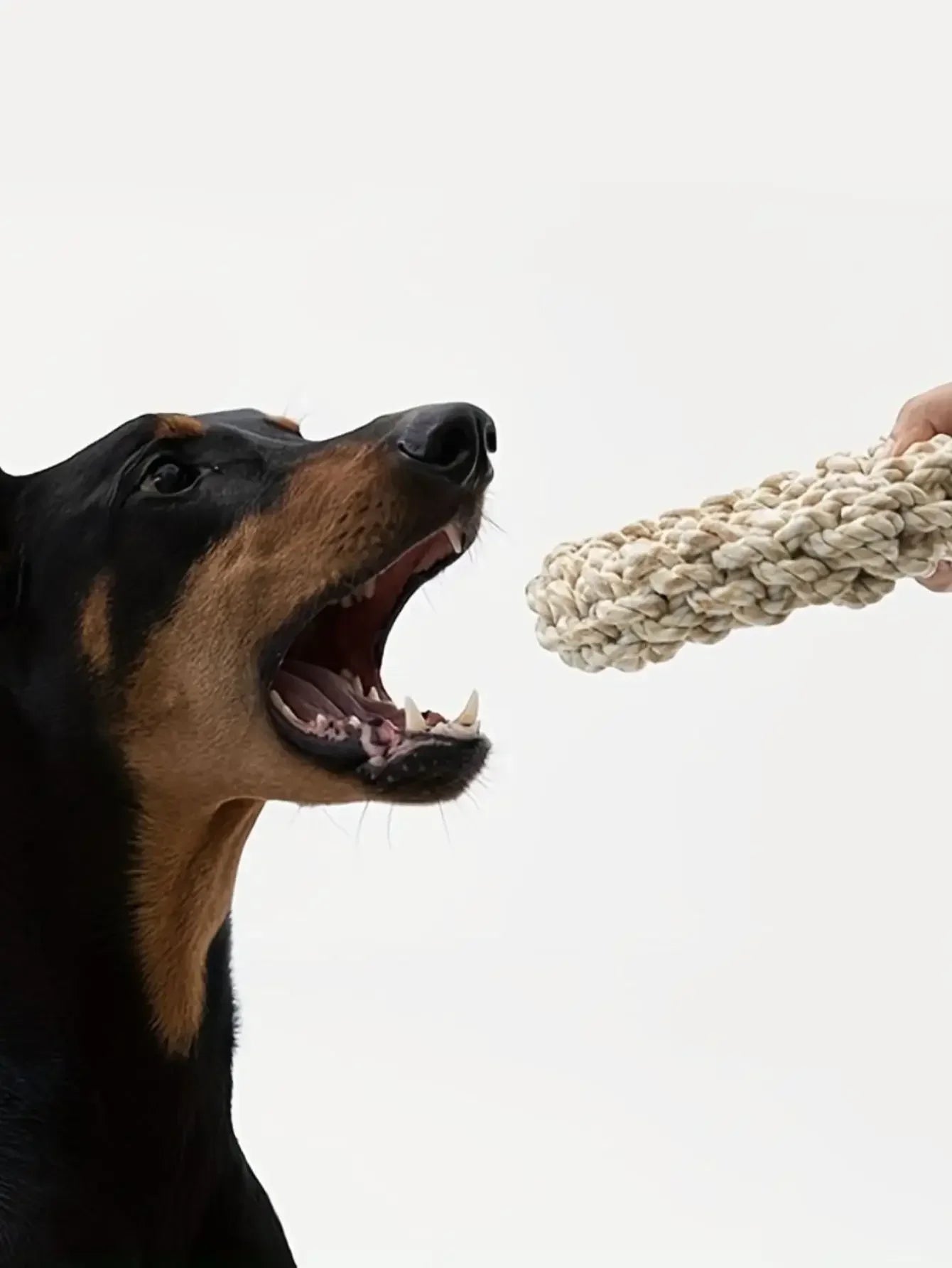 Pet Dog Rope Toy Durable Chew Bite Resistant Pet Toys for Medium Large
