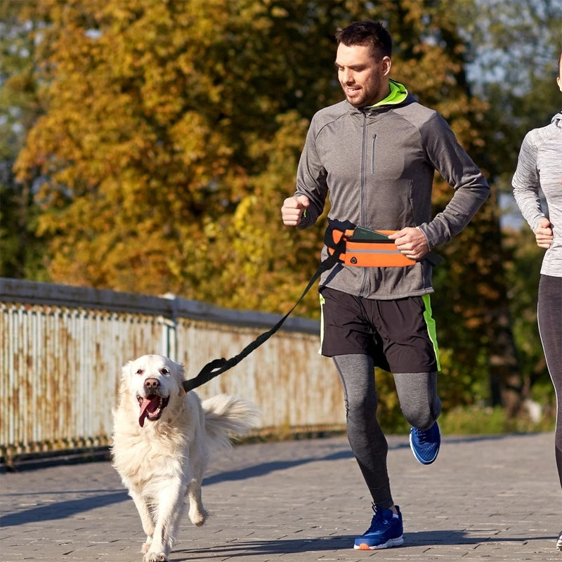 Hand Free Dog Running Leash With Zipper Pouch Running Leash