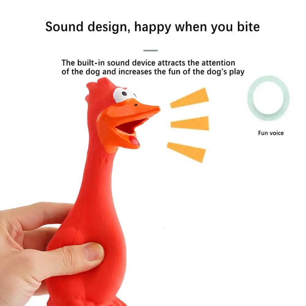 New Squeak Dog Toy Chew Bone Squeaky Ball Chicken Sound Dog Toys Tooth